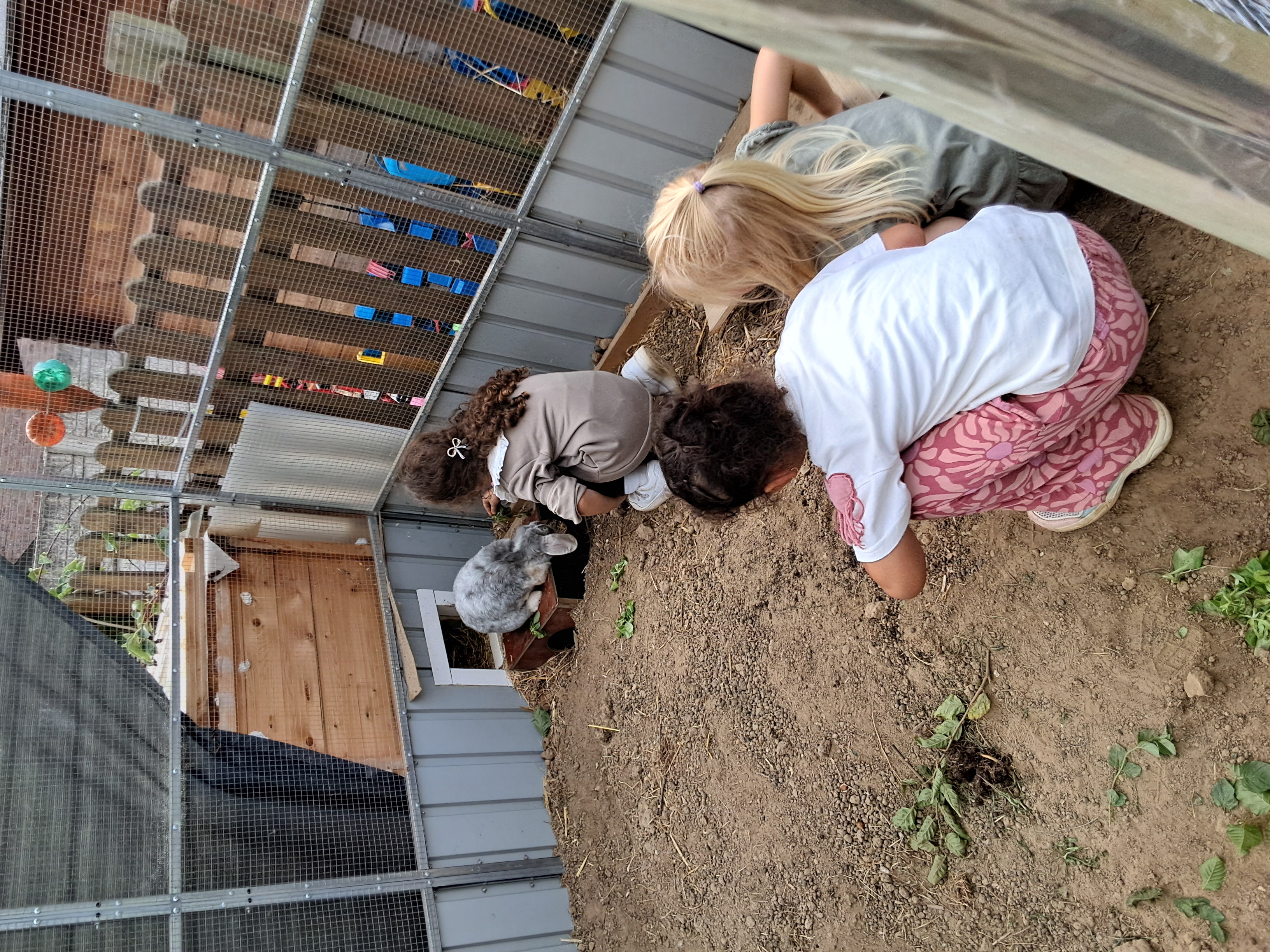 Kinder spielen mit einem Hasen